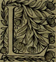 Picture 59 of 133 from Histoire de Barbarie, et de ses Corsaires. Des royavmes, et des villes d'Alger, de Tvnis, de Salé, [et] de Tripoly. Divisée en six livres. Ov il est traitté de levr govvernement, de leurs moeurs, de leurs cruautez, de leurs brigandages, de leurs sortileges, [et] de plusieurs autres particularitez remarquables. Ensemble des grandes miseres et des crvels tourmens qu'endurent les Chrestiens captifs parmy ces infideles (1649), leaf 291