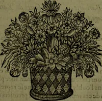 Picture 74 of 133 from Histoire de Barbarie, et de ses Corsaires. Des royavmes, et des villes d'Alger, de Tvnis, de Salé, [et] de Tripoly. Divisée en six livres. Ov il est traitté de levr govvernement, de leurs moeurs, de leurs cruautez, de leurs brigandages, de leurs sortileges, [et] de plusieurs autres particularitez remarquables. Ensemble des grandes miseres et des crvels tourmens qu'endurent les Chrestiens captifs parmy ces infideles (1649), leaf 352