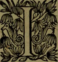 Picture 78 of 133 from Histoire de Barbarie, et de ses Corsaires. Des royavmes, et des villes d'Alger, de Tvnis, de Salé, [et] de Tripoly. Divisée en six livres. Ov il est traitté de levr govvernement, de leurs moeurs, de leurs cruautez, de leurs brigandages, de leurs sortileges, [et] de plusieurs autres particularitez remarquables. Ensemble des grandes miseres et des crvels tourmens qu'endurent les Chrestiens captifs parmy ces infideles (1649), leaf 365