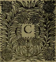 Picture 89 of 133 from Histoire de Barbarie, et de ses Corsaires. Des royavmes, et des villes d'Alger, de Tvnis, de Salé, [et] de Tripoly. Divisée en six livres. Ov il est traitté de levr govvernement, de leurs moeurs, de leurs cruautez, de leurs brigandages, de leurs sortileges, [et] de plusieurs autres particularitez remarquables. Ensemble des grandes miseres et des crvels tourmens qu'endurent les Chrestiens captifs parmy ces infideles (1649), leaf 391