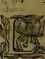 An illustration from Histoire de Barbarie, et de ses Corsaires. Des royavmes, et des villes d'Alger, de Tvnis, de Salé, [et] de Tripoly. Divisée en six livres. Ov il est traitté de levr govvernement, de leurs moeurs, de leurs cruautez, de leurs brigandages, de leurs sortileges, [et] de plusieurs autres particularitez remarquables. Ensemble des grandes miseres et des crvels tourmens qu'endurent les Chrestiens captifs parmy ces infideles (1649)
