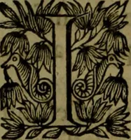 An illustration from Histoire de Barbarie, et de ses Corsaires. Des royavmes, et des villes d'Alger, de Tvnis, de Salé, [et] de Tripoly. Divisée en six livres. Ov il est traitté de levr govvernement, de leurs moeurs, de leurs cruautez, de leurs brigandages, de leurs sortileges, [et] de plusieurs autres particularitez remarquables. Ensemble des grandes miseres et des crvels tourmens qu'endurent les Chrestiens captifs parmy ces infideles (1649)