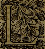 Picture 109 of 133 from Histoire de Barbarie, et de ses Corsaires. Des royavmes, et des villes d'Alger, de Tvnis, de Salé, [et] de Tripoly. Divisée en six livres. Ov il est traitté de levr govvernement, de leurs moeurs, de leurs cruautez, de leurs brigandages, de leurs sortileges, [et] de plusieurs autres particularitez remarquables. Ensemble des grandes miseres et des crvels tourmens qu'endurent les Chrestiens captifs parmy ces infideles (1649), leaf 447
