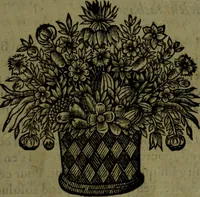 An illustration from Histoire de Barbarie, et de ses Corsaires. Des royavmes, et des villes d'Alger, de Tvnis, de Salé, [et] de Tripoly. Divisée en six livres. Ov il est traitté de levr govvernement, de leurs moeurs, de leurs cruautez, de leurs brigandages, de leurs sortileges, [et] de plusieurs autres particularitez remarquables. Ensemble des grandes miseres et des crvels tourmens qu'endurent les Chrestiens captifs parmy ces infideles (1649)