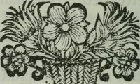 An illustration from Histoire de Calijava, ou de l'isle des hommes raisonnables (1700)