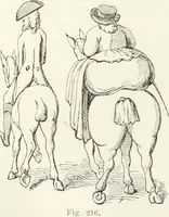 Picture 214 of 236 from Histoire de la caricature et du grotesque dans la littérature et dans l'art (1875), leaf 454