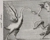 Picture 9 of 47 from Histoire de l'Académie royale des inscriptions et belles lettres, depuis son establissement jusqu'à présent : Avec les Mémoires de littérature tirez des registres de cette Académie depuis son renouvellement jusqu'en 1710 (1736), leaf 233
