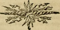 An illustration from Histoire de l'Académie royale des inscriptions et belles lettres, depuis son establissement jusqu'à présent : Avec les Mémoires de littérature tirez des registres de cette Académie depuis son renouvellement jusqu'en 1710 (1736)
