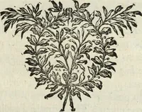 An illustration from Histoire de l'Académie royale des inscriptions et belles lettres, depuis son establissement jusqu'à présent : Avec les Mémoires de littérature tirez des registres de cette Académie depuis son renouvellement jusqu'en 1710 (1736)