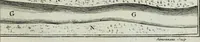 An illustration from Histoire de l'Académie royale des inscriptions et belles lettres, depuis son establissement jusqu'à présent : Avec les Mémoires de littérature tirez des registres de cette Académie depuis son renouvellement jusqu'en 1710 (1736)
