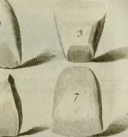 An illustration from Histoire de l'Académie royale des inscriptions et belles lettres, depuis son establissement jusqu'à présent : Avec les Mémoires de littérature tirez des registres de cette Académie depuis son renouvellement jusqu'en 1710 (1736)