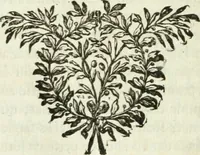An illustration from Histoire de l'Académie royale des inscriptions et belles lettres, depuis son establissement jusqu'à présent : Avec les Mémoires de littérature tirez des registres de cette Académie depuis son renouvellement jusqu'en 1710 (1736)
