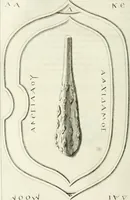 An illustration from Histoire de l'Académie royale des inscriptions et belles lettres, depuis son establissement jusqu'à présent : Avec les Mémoires de littérature tirez des registres de cette Académie depuis son renouvellement jusqu'en 1710 (1736)