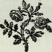 An illustration from Histoire de l'Académie royale des inscriptions et belles lettres, depuis son establissement jusqu'à présent : Avec les Mémoires de littérature tirez des registres de cette Académie depuis son renouvellement jusqu'en 1710 (1736)