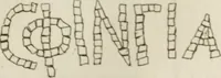 Picture 48 of 54 from Histoire de l'Académie royale des inscriptions et belles lettres, depuis son establissement jusqu'à présent : Avec les Mémoires de littérature tirez des registres de cette Académie depuis son renouvellement jusqu'en 1710 (1736), leaf 580