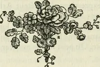 An illustration from Histoire de l'Académie royale des inscriptions et belles lettres, depuis son establissement jusqu'à présent : Avec les Mémoires de littérature tirez des registres de cette Académie depuis son renouvellement jusqu'en 1710 (1736)