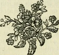 An illustration from Histoire de l'Académie royale des inscriptions et belles lettres, depuis son establissement jusqu'à présent : Avec les Mémoires de littérature tirez des registres de cette Académie depuis son renouvellement jusqu'en 1710 (1736)