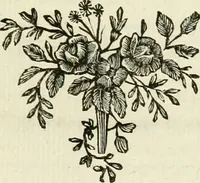 An illustration from Histoire de l'Académie royale des inscriptions et belles lettres, depuis son establissement jusqu'à présent : Avec les Mémoires de littérature tirez des registres de cette Académie depuis son renouvellement jusqu'en 1710 (1736)
