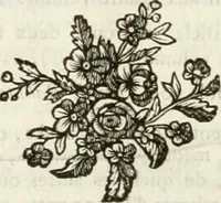 An illustration from Histoire de l'Académie royale des inscriptions et belles lettres, depuis son establissement jusqu'à présent : Avec les Mémoires de littérature tirez des registres de cette Académie depuis son renouvellement jusqu'en 1710 (1736)