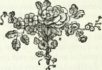 An illustration from Histoire de l'Académie royale des inscriptions et belles lettres, depuis son establissement jusqu'à présent : Avec les Mémoires de littérature tirez des registres de cette Académie depuis son renouvellement jusqu'en 1710 (1736)