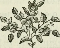 An illustration from Histoire de l'Académie royale des inscriptions et belles lettres, depuis son establissement jusqu'à présent : Avec les Mémoires de littérature tirez des registres de cette Académie depuis son renouvellement jusqu'en 1710 (1736)