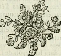 An illustration from Histoire de l'Académie royale des inscriptions et belles lettres, depuis son establissement jusqu'à présent : Avec les Mémoires de littérature tirez des registres de cette Académie depuis son renouvellement jusqu'en 1710 (1736)