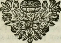 An illustration from Histoire de l'Académie royale des inscriptions et belles lettres, depuis son establissement jusqu'à présent : Avec les Mémoires de littérature tirez des registres de cette Académie depuis son renouvellement jusqu'en 1710 (1736)
