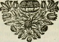 An illustration from Histoire de l'Académie royale des inscriptions et belles lettres, depuis son establissement jusqu'à présent : Avec les Mémoires de littérature tirez des registres de cette Académie depuis son renouvellement jusqu'en 1710 (1736)