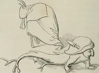 An illustration from Histoire de la caricature et du grotesque dans la littérature et dans l'art (1875)