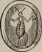 An illustration from Histoire de la caricature antique (1867)