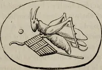 An illustration from Histoire de la caricature antique (1867)