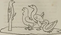 An illustration from Histoire de la caricature antique (1867)
