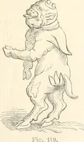 Picture 147 of 236 from Histoire de la caricature et du grotesque dans la littérature et dans l'art (1875), leaf 270