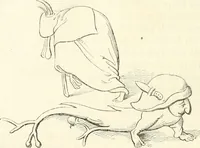 An illustration from Histoire de la caricature et du grotesque dans la littérature et dans l'art (1875)