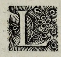 An illustration from Histoire de la conqueste de la Floride, par les espagnols, sous Ferdinand de Soto (1685)