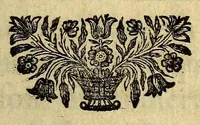 An illustration from Histoire de la conqueste de la Floride, par les Espagnols, sous Ferdinand de Soto. : Ecrite en portugais par un gentil-homme de la ville d'Elvas. (1685)