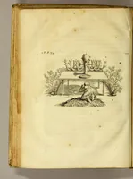 An illustration from Histoire de la Laponie, : sa description, l'origine, les moeurs, la maniere de vivre de ses habitans, leur religion, leur magie, & les choses rares du païs. Avec plusieurs additions & augmentations fort curieuses, qui jusques-icy n'ont pas esté imprimées. (1678)