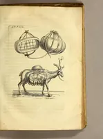 An illustration from Histoire de la Laponie, : sa description, l'origine, les moeurs, la maniere de vivre de ses habitans, leur religion, leur magie, & les choses rares du païs. Avec plusieurs additions & augmentations fort curieuses, qui jusques-icy n'ont pas esté imprimées. (1678)