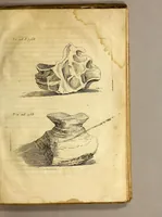An illustration from Histoire de la Laponie, : sa description, l'origine, les moeurs, la maniere de vivre de ses habitans, leur religion, leur magie, & les choses rares du païs. Avec plusieurs additions & augmentations fort curieuses, qui jusques-icy n'ont pas esté imprimées. (1678)