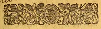 An illustration from Histoire de la mission des peres capucins en l'isle de Maragnan et terres circonuoisines ov est traicte des singularitez admirables & des meurs merueilleuses des indiens habitans de ce pais auec les missiues et aduis qui ont este enuoyez de nouueau (1614)