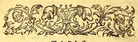 An illustration from Histoire de la mission des peres capucins en l'isle de Maragnan et terres circonuoisines ov est traicte des singularitez admirables & des meurs merueilleuses des indiens habitans de ce pais auec les missiues et aduis qui ont este enuoyez de nouueau (1614)