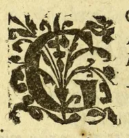 An illustration from Histoire de la Nouuelle France : contenat les navigations, dećouvertes, & habitations faites par les François és Indes Occidentales & Nouvelle-France ... : avec les tables & figures necessaires. (1618)