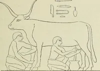 An illustration from Histoire de l'art dans l'antiquité: Égypte, Assyrie, Perse, Asie Mineure, Grece, Etrurie, Rome (1882)