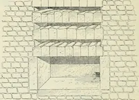 An illustration from Histoire de l'art dans l'antiquité: Égypte, Assyrie, Perse, Asie Mineure, Grece, Etrurie, Rome (1882)