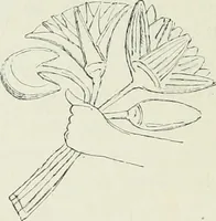 Picture 211 of 443 from Histoire de l'art dans l'antiquité: Égypte, Assyrie, Perse, Asie Mineure, Grece, Etrurie, Rome (1882), leaf 553
