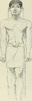 An illustration from Histoire de l'art dans l'antiquité: Égypte, Assyrie, Perse, Asie Mineure, Grece, Etrurie, Rome (1882)