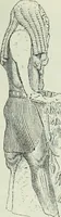 An illustration from Histoire de l'art dans l'antiquité: Égypte, Assyrie, Perse, Asie Mineure, Grece, Etrurie, Rome (1882)