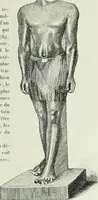 Picture 354 of 443 from Histoire de l'art dans l'antiquité: Égypte, Assyrie, Perse, Asie Mineure, Grece, Etrurie, Rome (1882), leaf 832