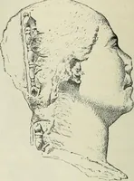An illustration from Histoire de l'art dans l'antiquité: Égypte, Assyrie, Perse, Asie Mineure, Grece, Etrurie, Rome (1882)
