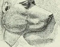 An illustration from Histoire de l'art dans l'antiquité: Égypte, Assyrie, Perse, Asie Mineure, Grece, Etrurie, Rome (1882)
